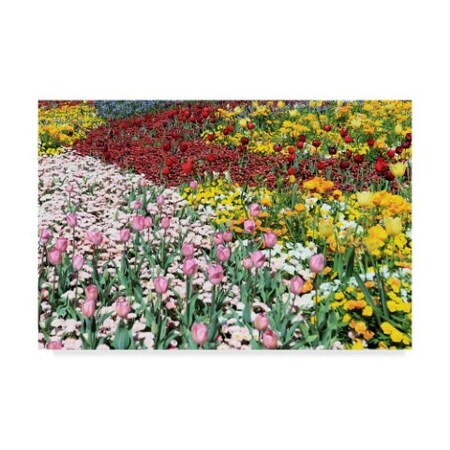 Trademark Fine Art Incredi 'Floral Field' Canvas Art, 16x24 ALI36073-C1624GG